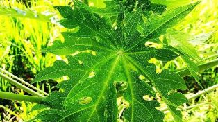 f026cd06-0fdb-4317-a909-5e662e8f56e0_169