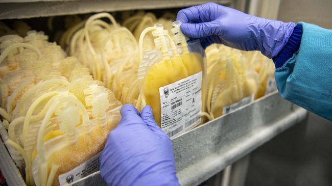 donor-plasma-konvalesen-pasien-sembuh-covid-19_169