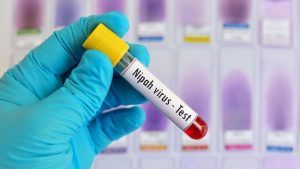 ilustrasi-nipah-virus_169