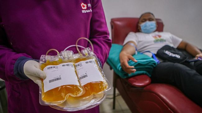 donor-plasma-darah-konvalesen_169
