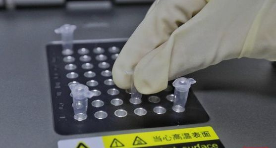 laboratorium-covid-19-8_169