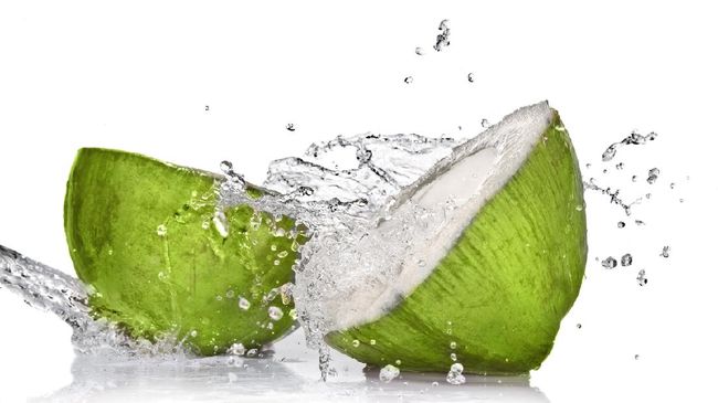 ilustrasi-kelapa-hijau-1_169