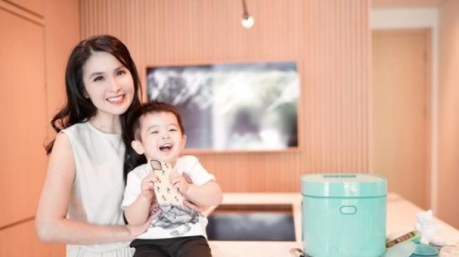 22031-dapur-sandra-dewi