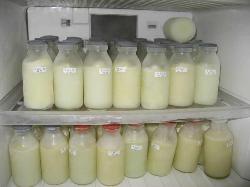 konsumsi-5-jenis-makanan-ini-supaya-asi-lancar-main