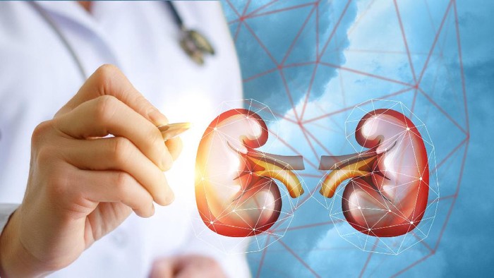 peran-terapi-Erythropoietin-