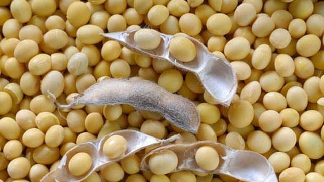 084376100_1483459341-Protein-Kedelai-dan-Kolesterol
