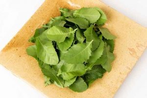 5-manfaat-daun-beluntas-untuk-kesehatan