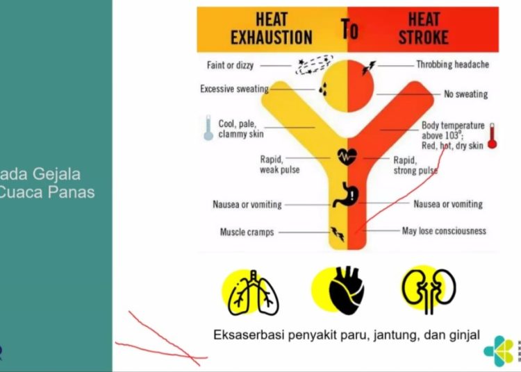 IMG-20220527-WA0105-750x536