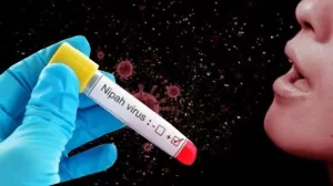 15608-virus-nipah-shutterstock