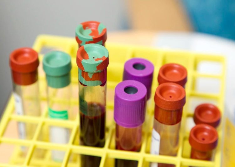 5261300c-6f24-4ff1-9a52-27dbc24803bb-750x536