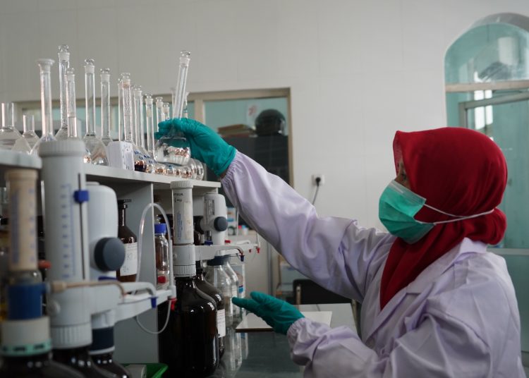 IMG-20240113-WA0021-750x536