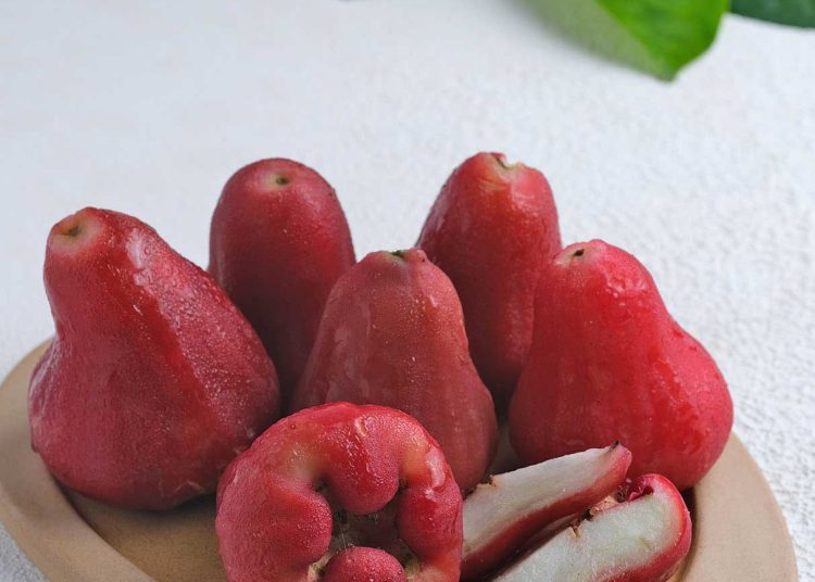 Jambu-Air-Manis-750x536