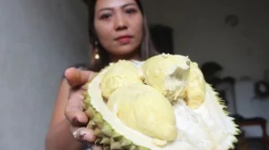 40100-durian
