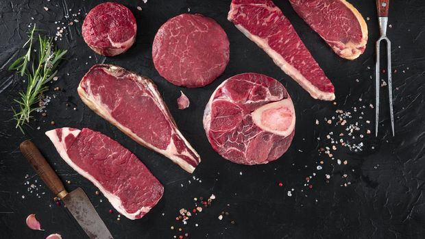 ilustrasi-daging_169