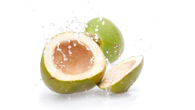 ilustrasi-kelapa-hijau_169