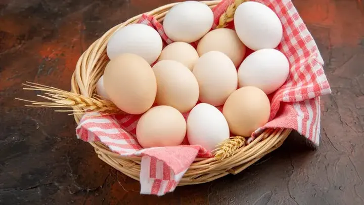 image_bank_2025_09_24_125628.932-beda-kandungan-gizi-telur-ceplok-telur-rebus-dan-dadar-mana-olahan-paling-sehat-1